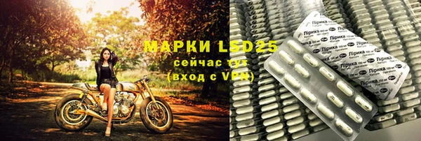 трава Сатка
