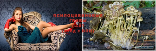 трава Арсеньев