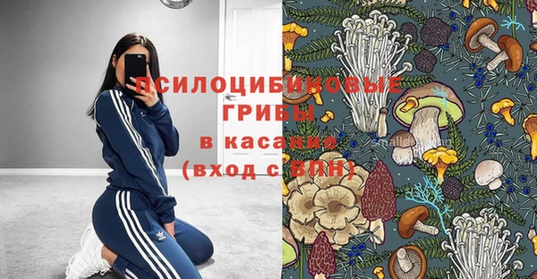 бошки Аркадак